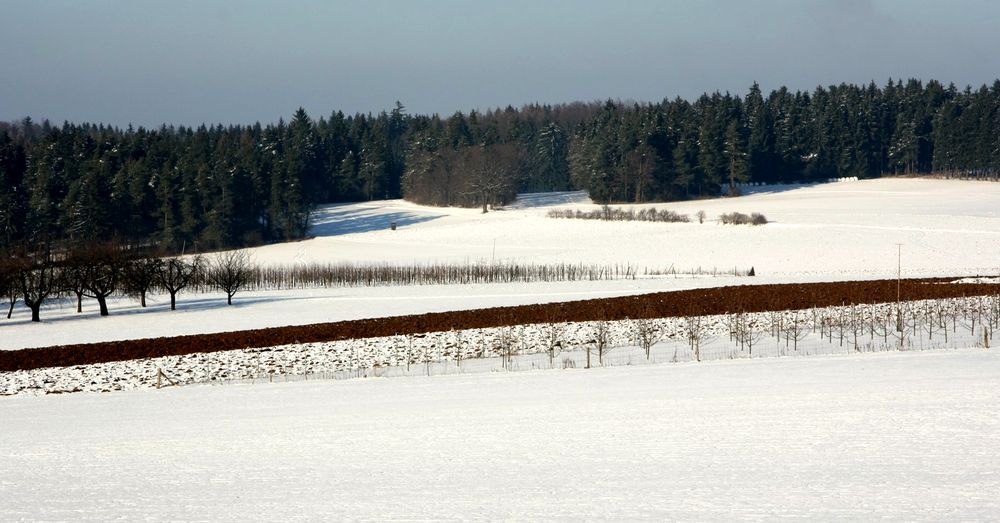 Ein schöner Wintertag