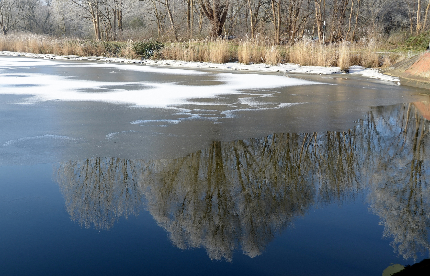 ein schöner Wintertag (3)