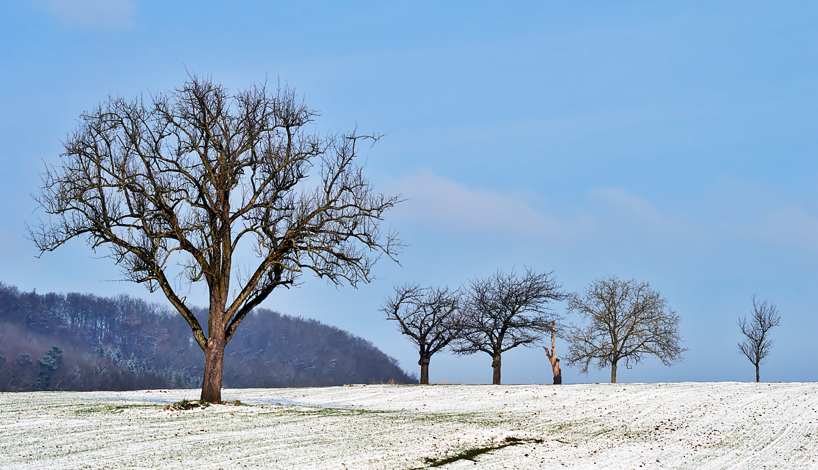 Ein schöner Wintertag...