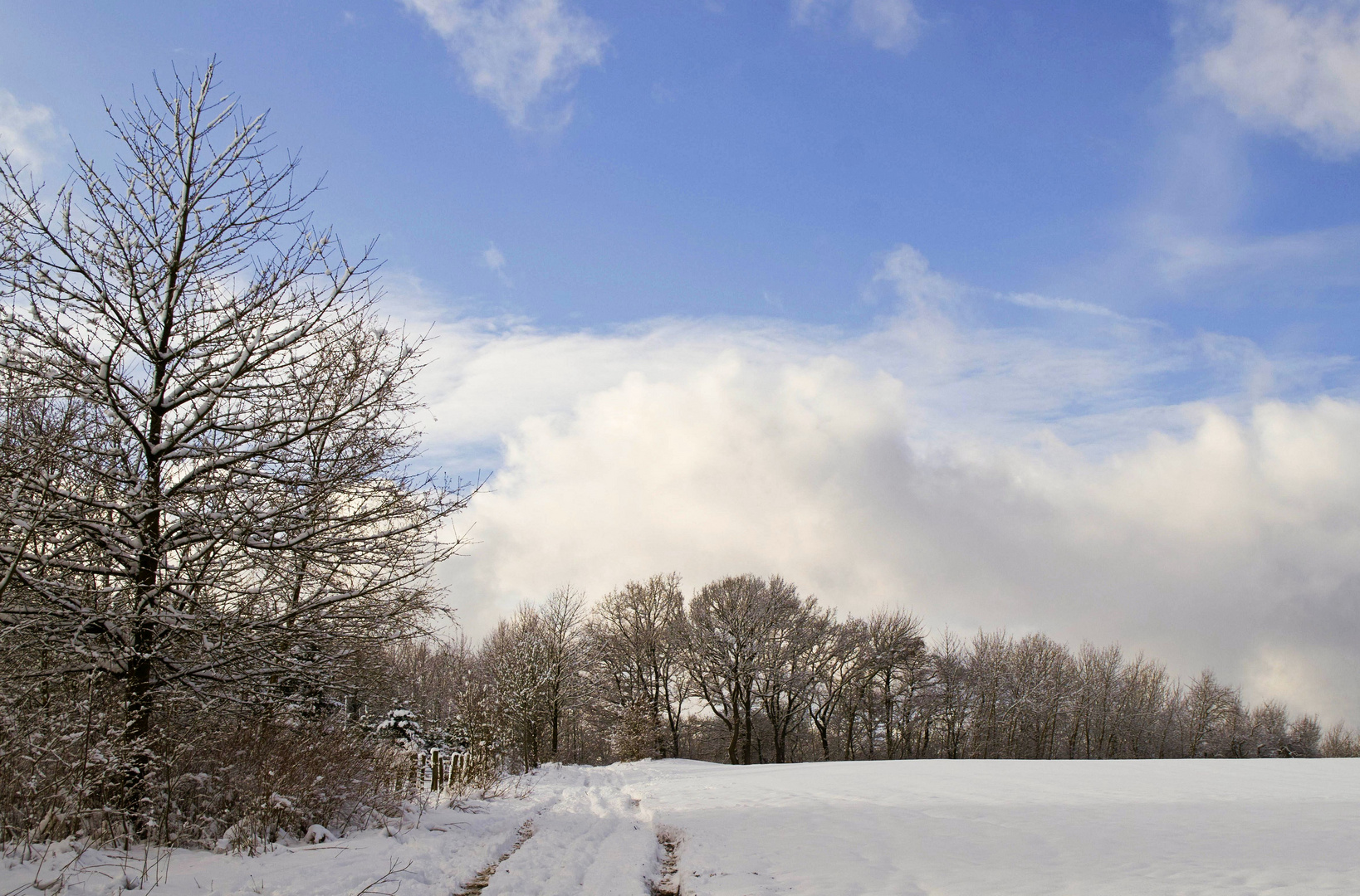 Ein schöner Wintertag...