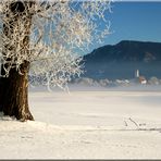 Ein schöner Wintertag!