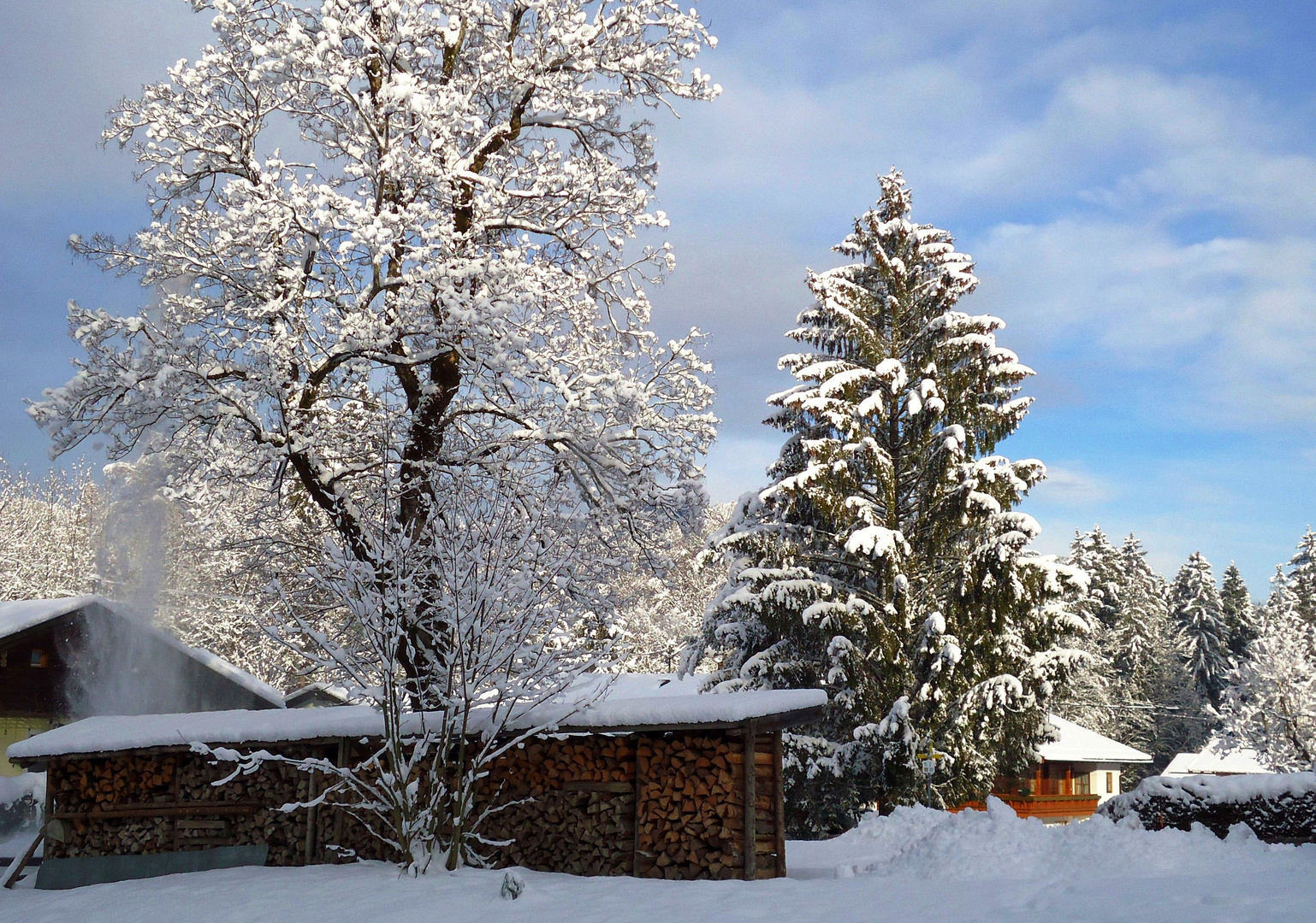 Ein schöner Wintertag