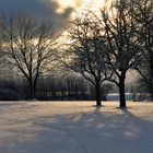 ein schöner Wintertag.....