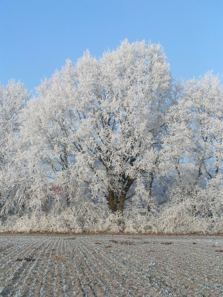 Ein schöner Wintertag