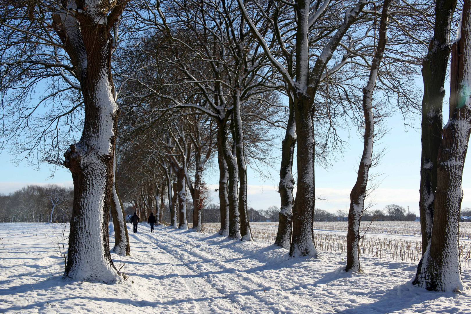 Ein schöner Wintertag 