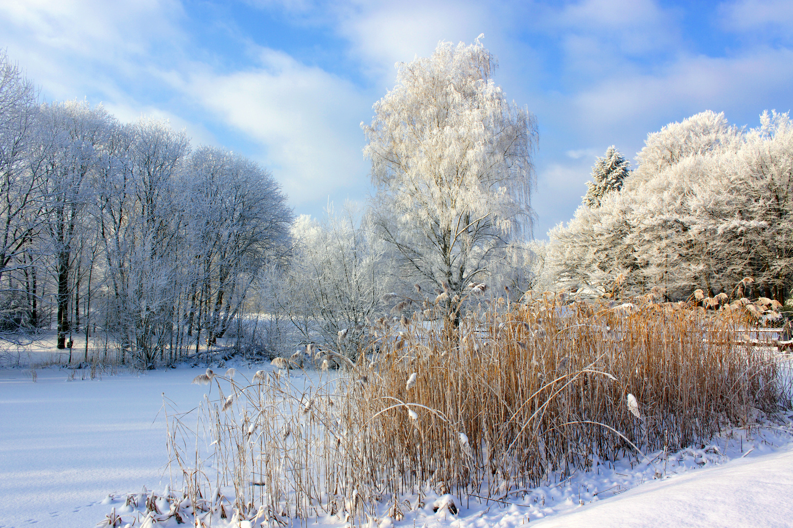 Ein schöner Wintertag