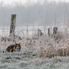 Ein schöner Wintertag