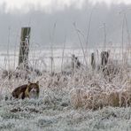 Ein schöner Wintertag