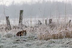 Ein schöner Wintertag