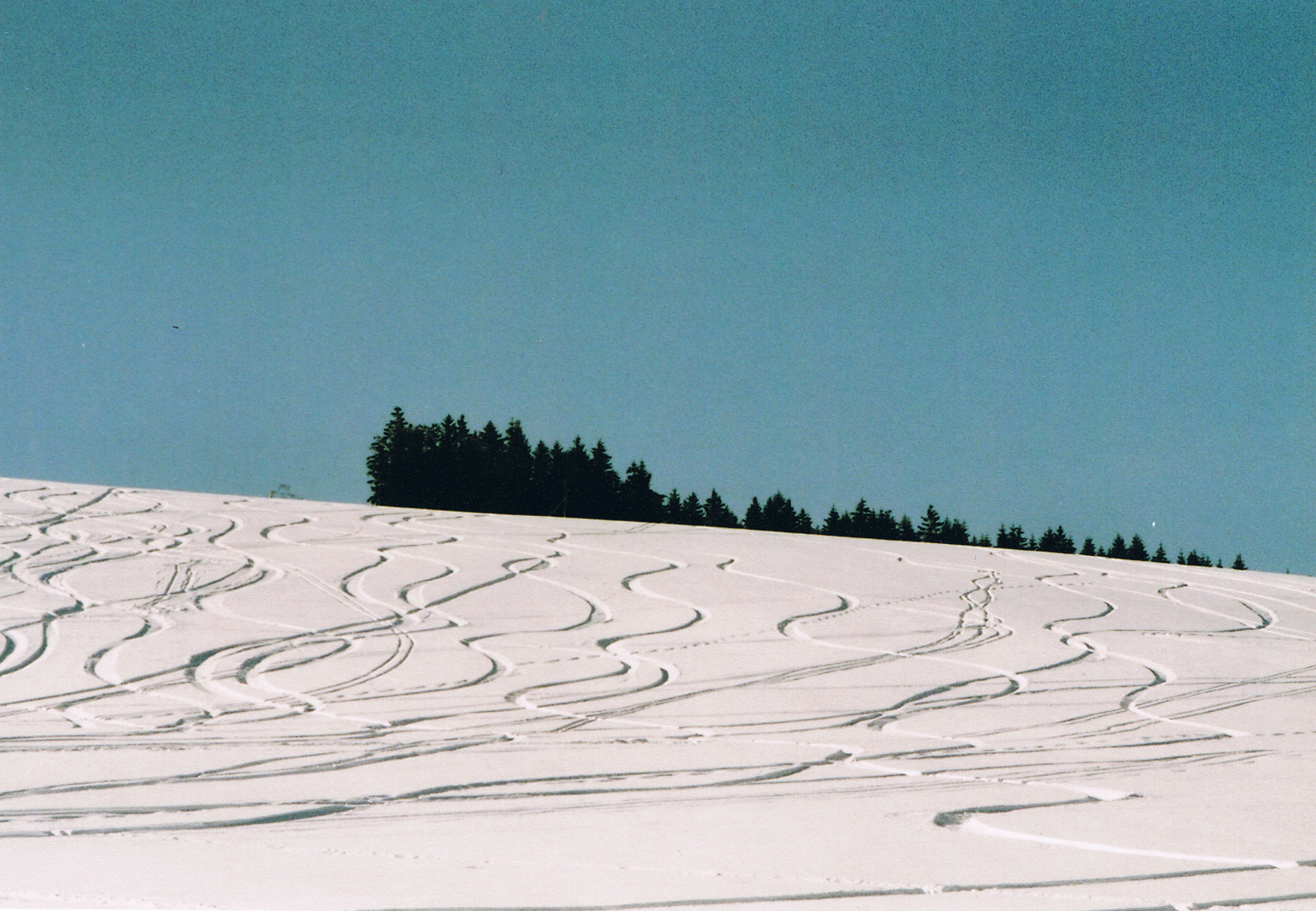 Ein schöner Wintertag