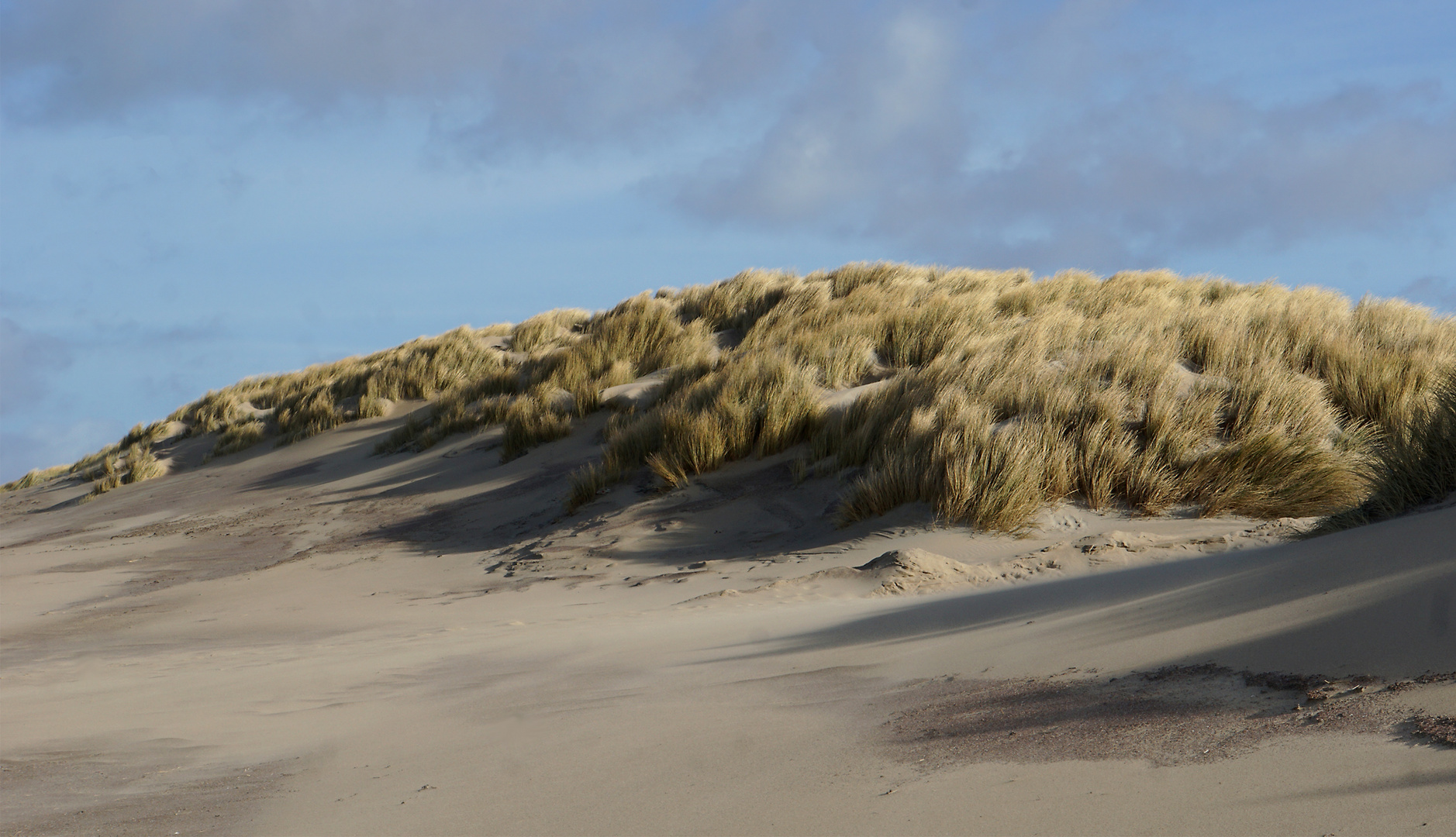 Ein schöner Wintertag am Meer