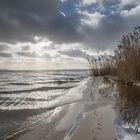 Ein schöner Wintertag am Steinhuder Meer 