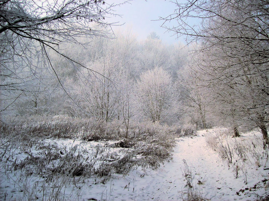 ein schöner wintertag