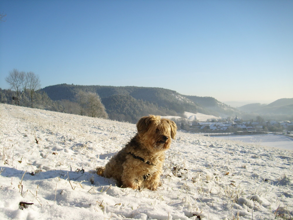 Ein schöner Wintertag