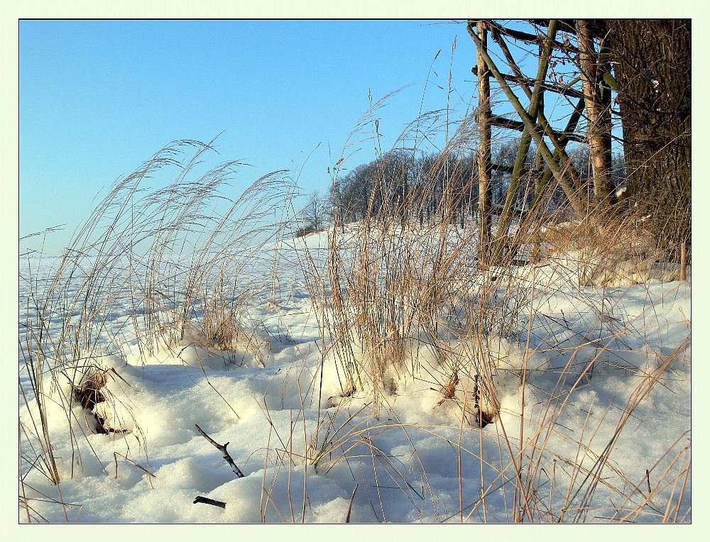 Ein schöner Wintertag