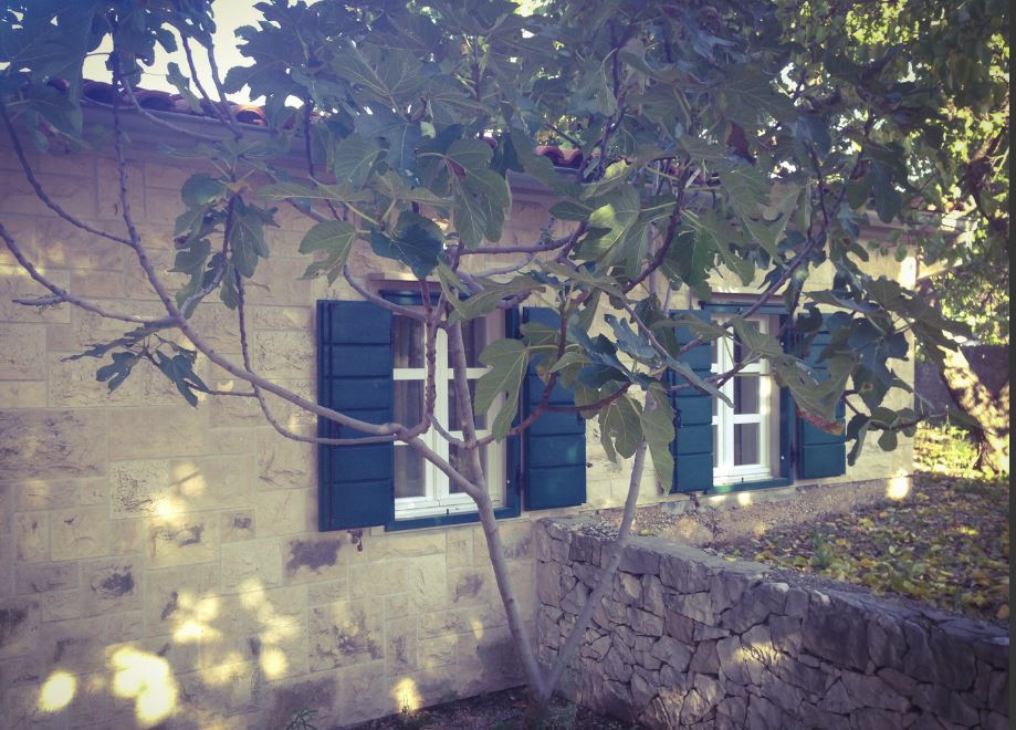 ein schönes altes Haus umspielt von Licht und Schatten