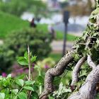 Ein schönes Fleckchen im Rheinpark