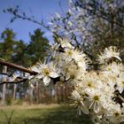 Ein schönes Frühlingswochenende