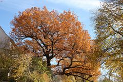 ein schönes Herbstmotiv