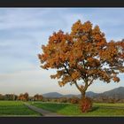 Ein schönes Herbstwochenende