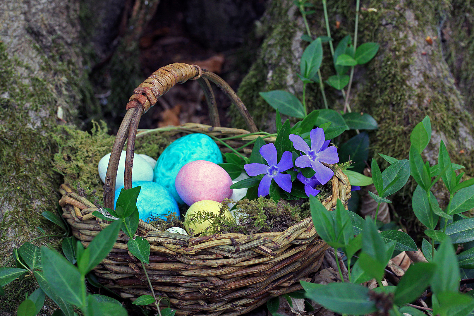 Ein schönes Osterfest