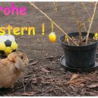 Ein schönes Osterfest.....