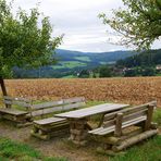 Ein schönes Plätzchen ...