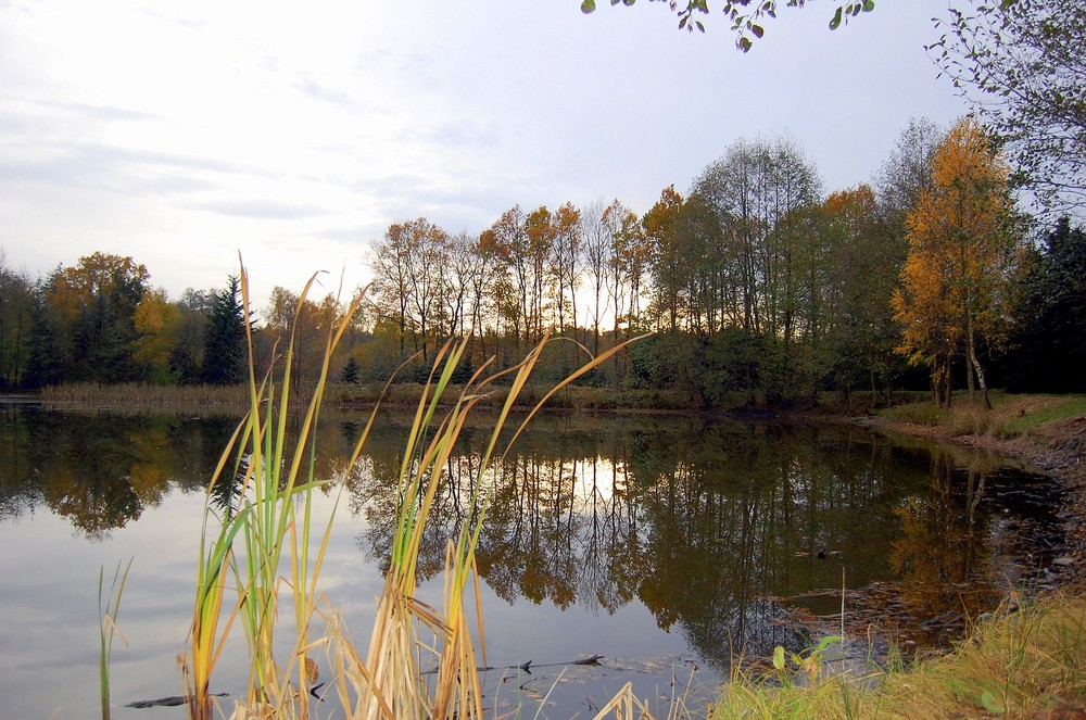 Ein schönes ruhiges Fleckchen