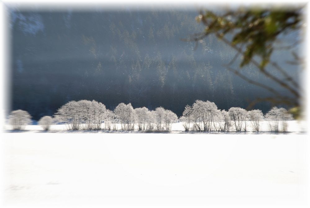 Ein schönes See