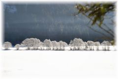 Ein schönes See