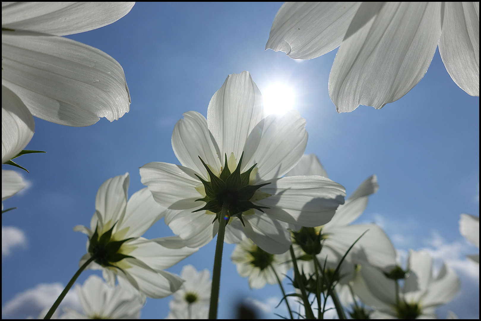 Ein schönes, sonniges Wochenende . . .