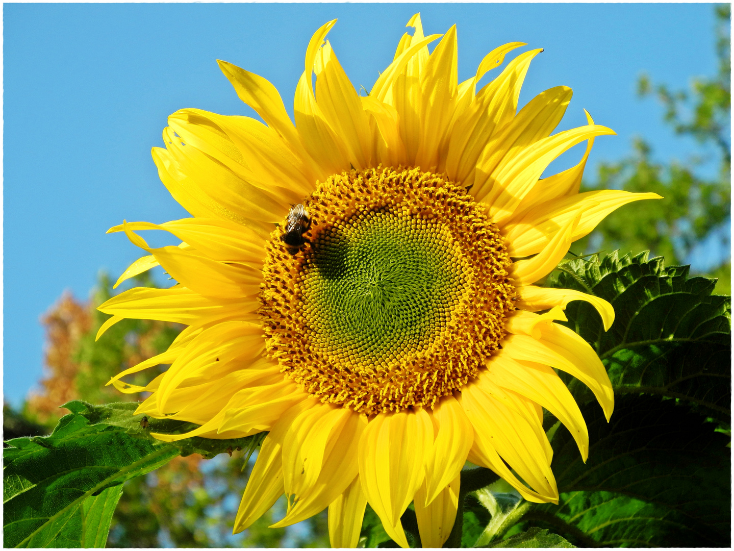 ein schönes Spätsommer-Wochenende