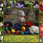 Ein schönes und buntes Osterfest wünsche ich allen Freunden und Besuchern in der FC