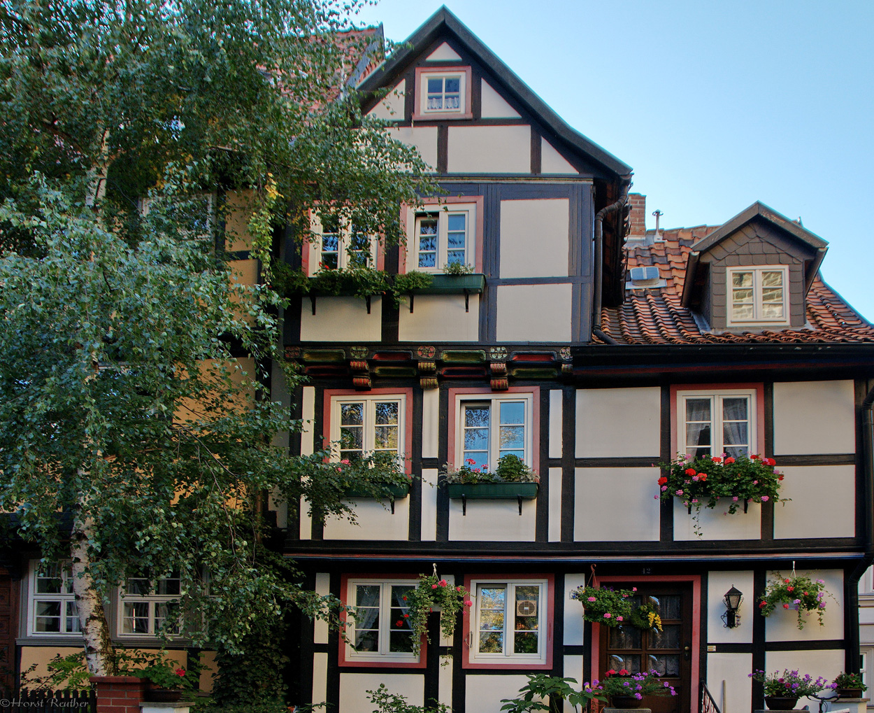 Ein schönes und gepflegtes Haus in Quedlinburg.