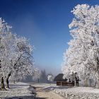 Ein schönes Weihnachtsfest