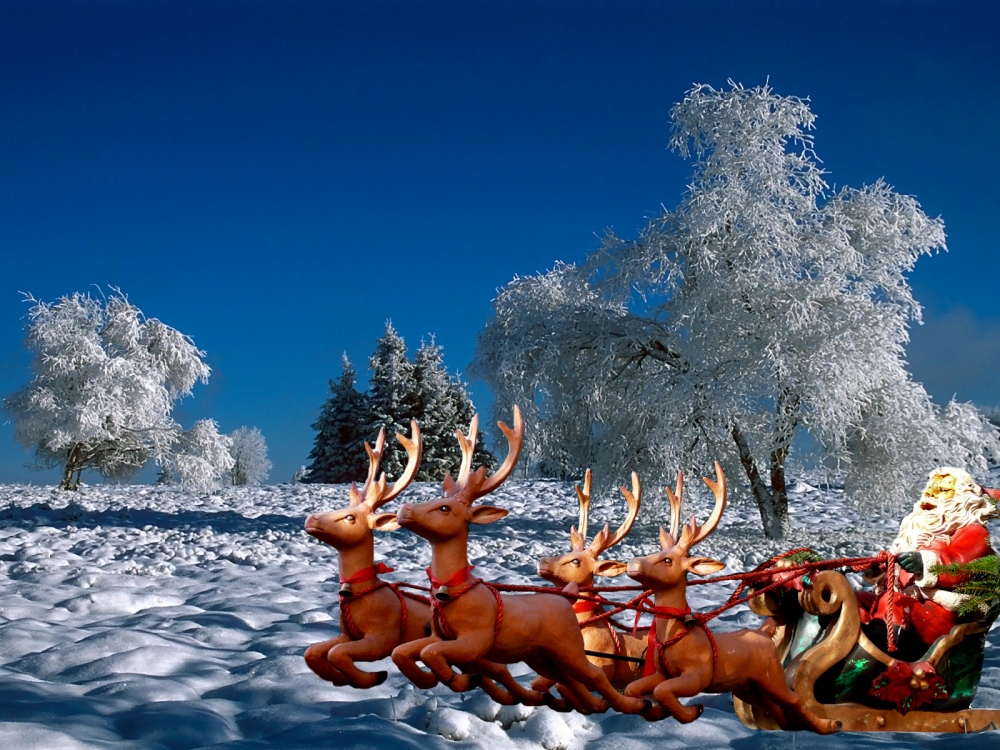 Ein schönes Weihnachtsfest Foto & Bild | foto- montagen, spezial Bilder