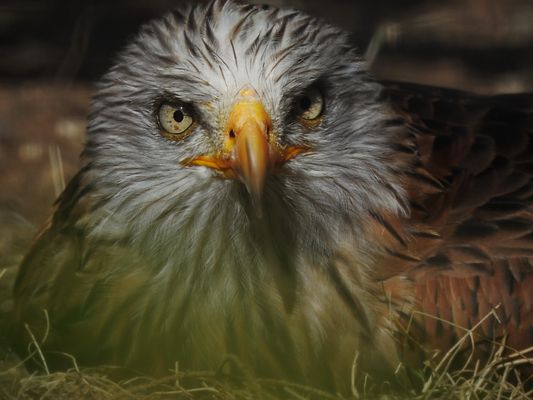 Ein schönes Wochenende 