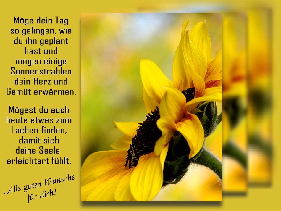 Ein schönes Wochenende! Foto &amp; Bild karten und kalender, karten 2008, spezial Bilder auf