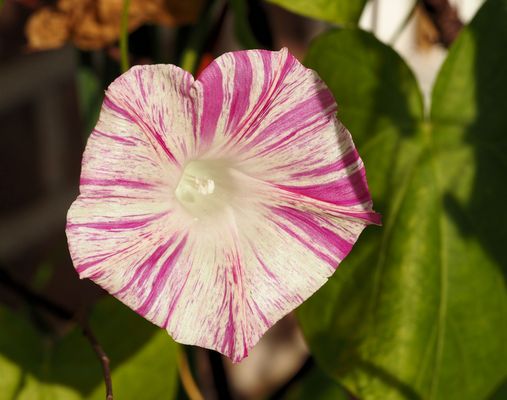 Ein schönes Wochenende :) ...