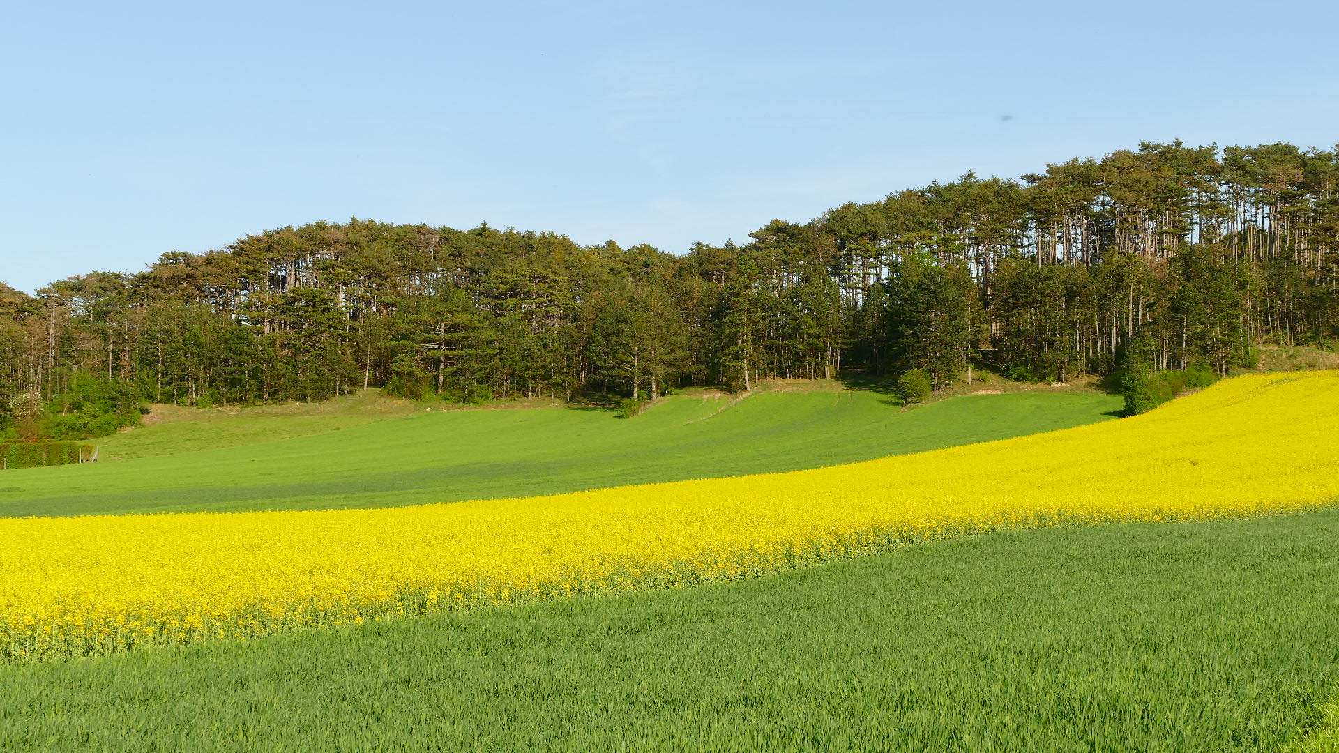 Ein schönes Wochenende