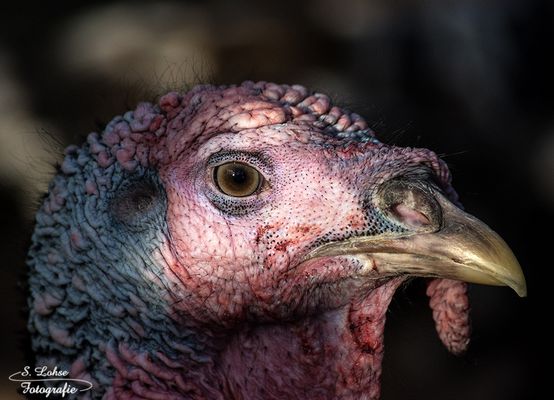 Ein schönes Wochenende