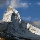 Ein Schönheitsideal, ästhetisch und wild zugleich