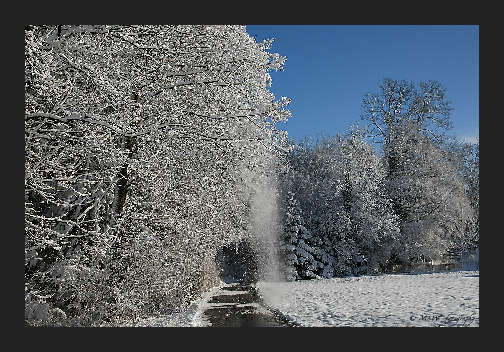 ...... ein schönter Wintertag 1 ......