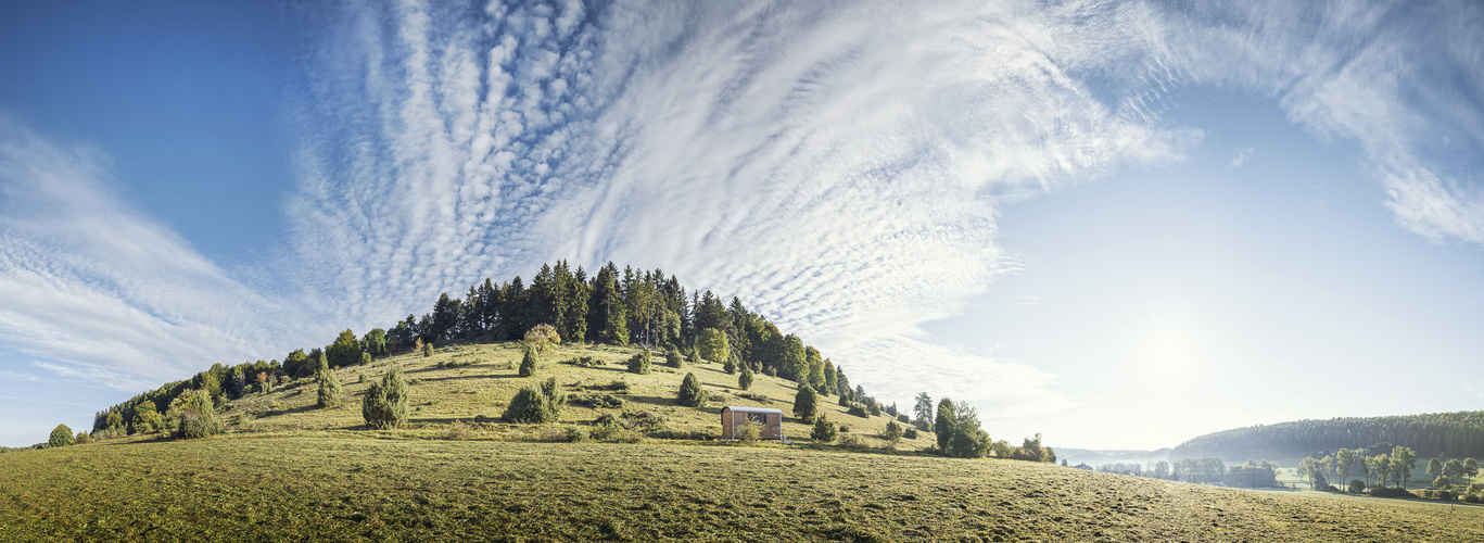 Ein Schutzwagen und eine Wacholderheide