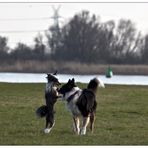 Ein Schwätzchen an der Weser