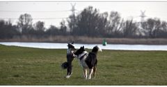 Ein Schwätzchen an der Weser