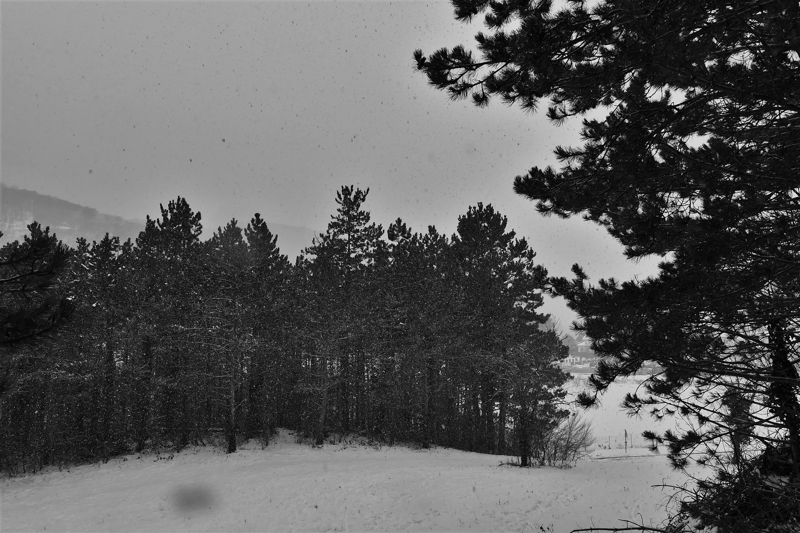 Ein schwarzweißer  Blick auf den Winter