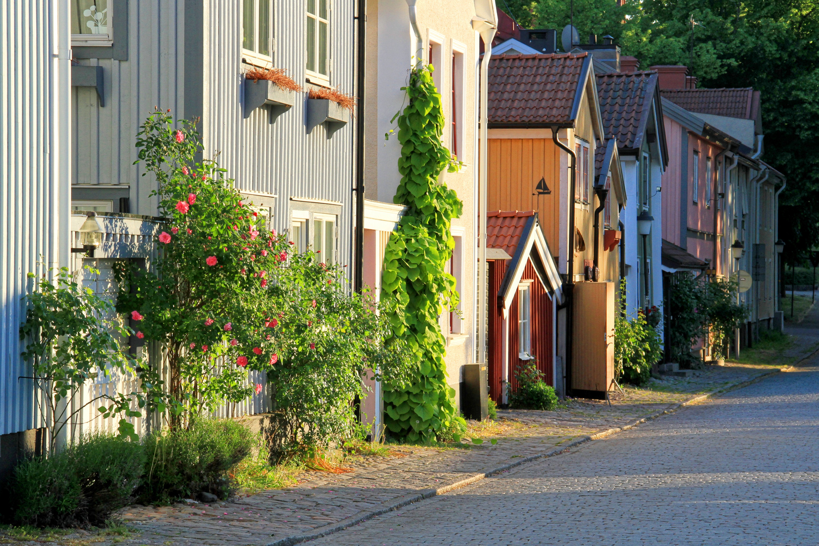 ein schwedischer Frühsommer-Abend  -  a swedish early summer evening