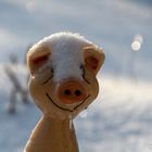 Ein Schweinchen im Winter