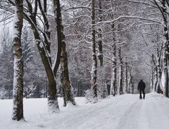 Ein schwerer Weg